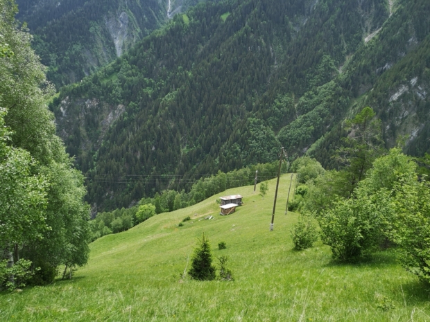 Erdstern und Hexenei – die Alpferien von Lebenswelt Mont